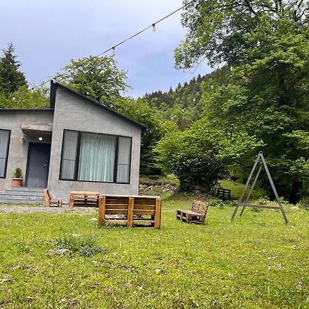 Cozy House In The Forest 博尔若米 外观 照片