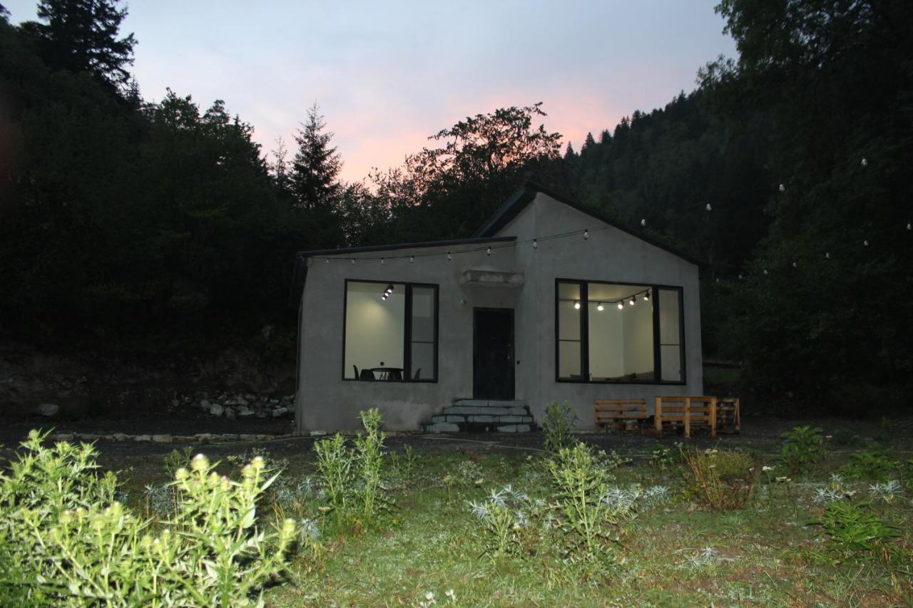 Cozy House In The Forest 博尔若米 外观 照片