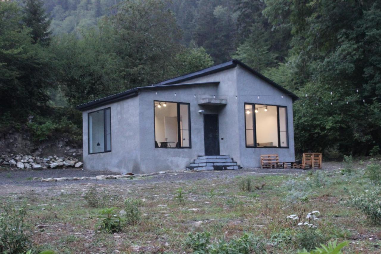 Cozy House In The Forest 博尔若米 外观 照片