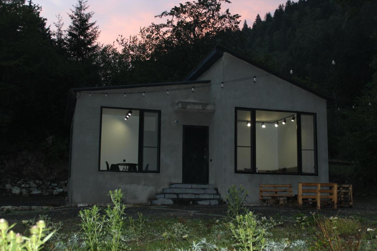Cozy House In The Forest 博尔若米 外观 照片