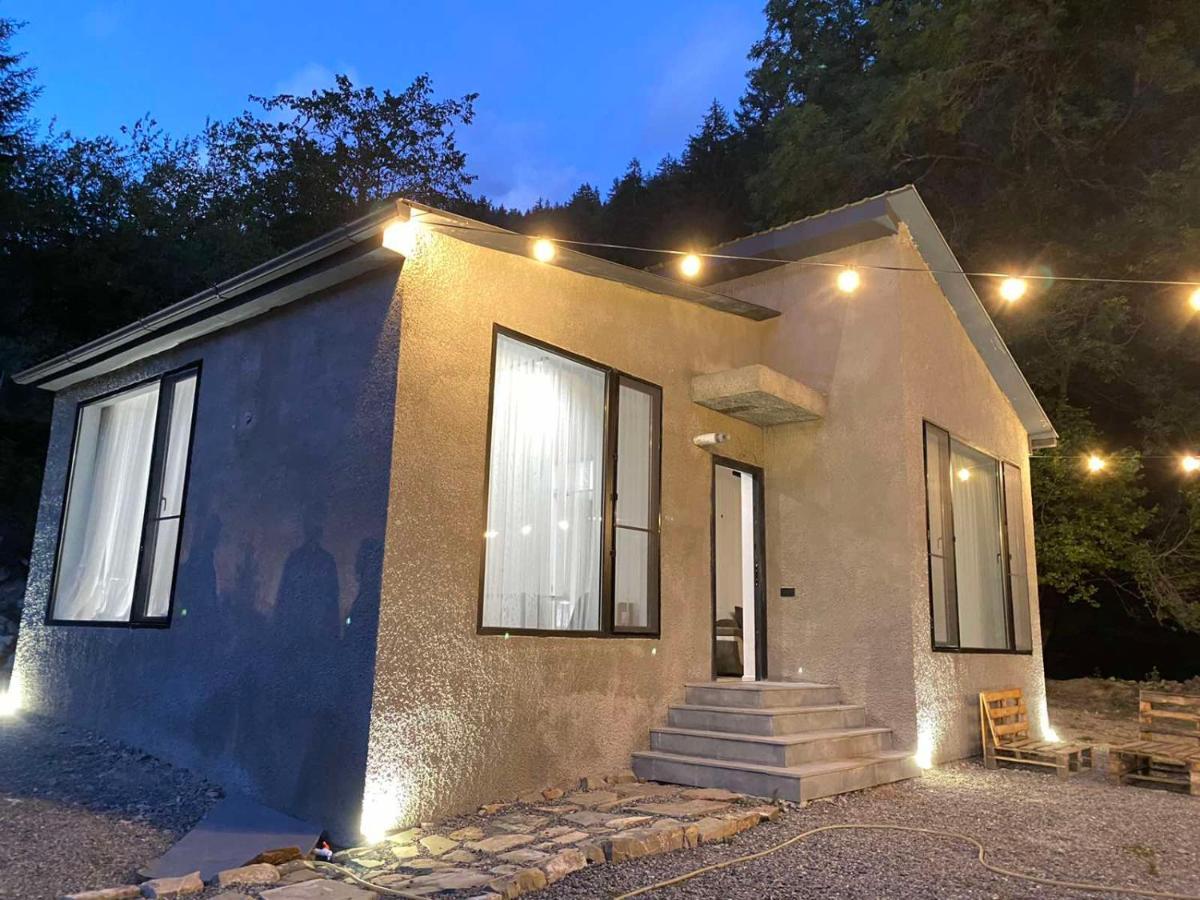 Cozy House In The Forest 博尔若米 外观 照片
