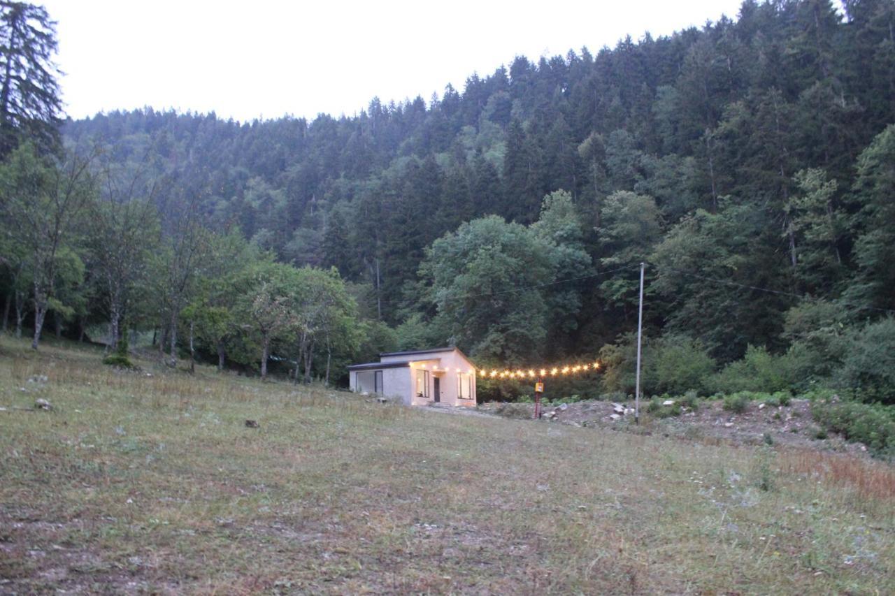 Cozy House In The Forest 博尔若米 外观 照片