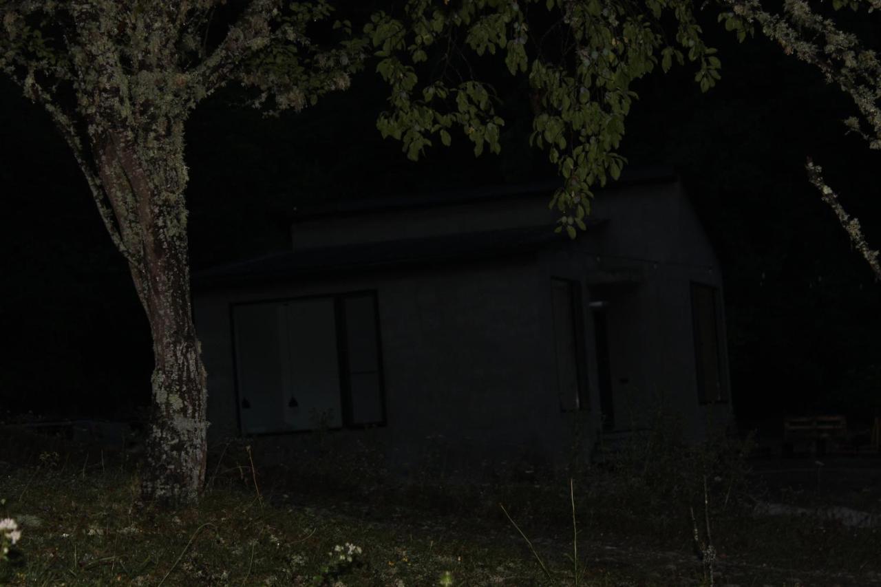 Cozy House In The Forest 博尔若米 外观 照片