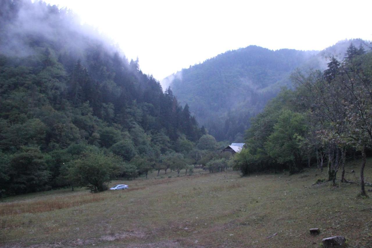 Cozy House In The Forest 博尔若米 外观 照片