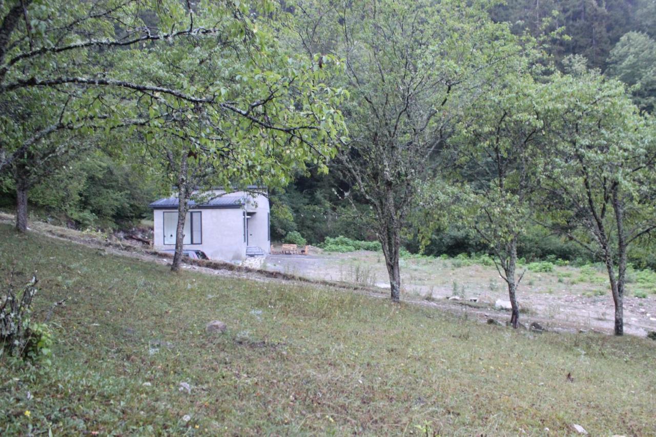 Cozy House In The Forest 博尔若米 外观 照片