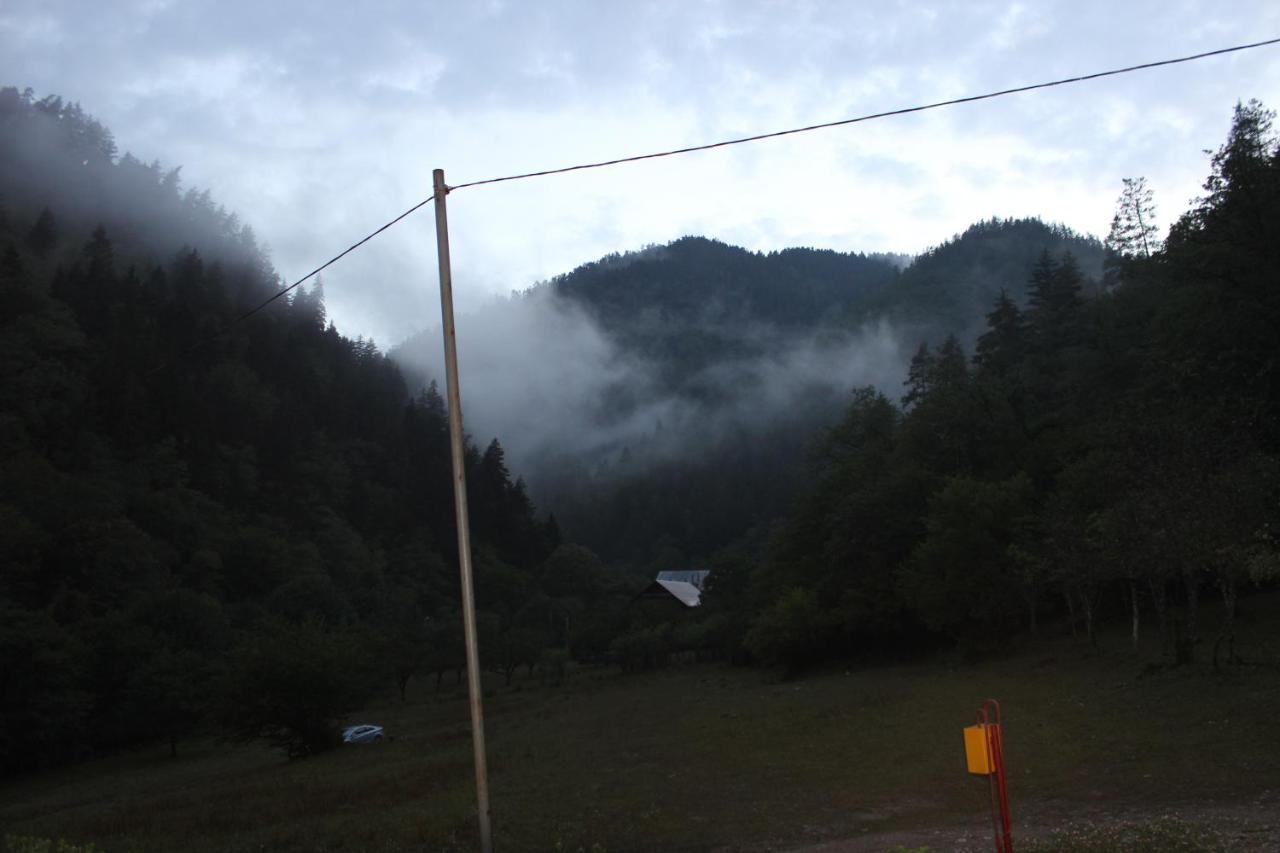Cozy House In The Forest 博尔若米 外观 照片
