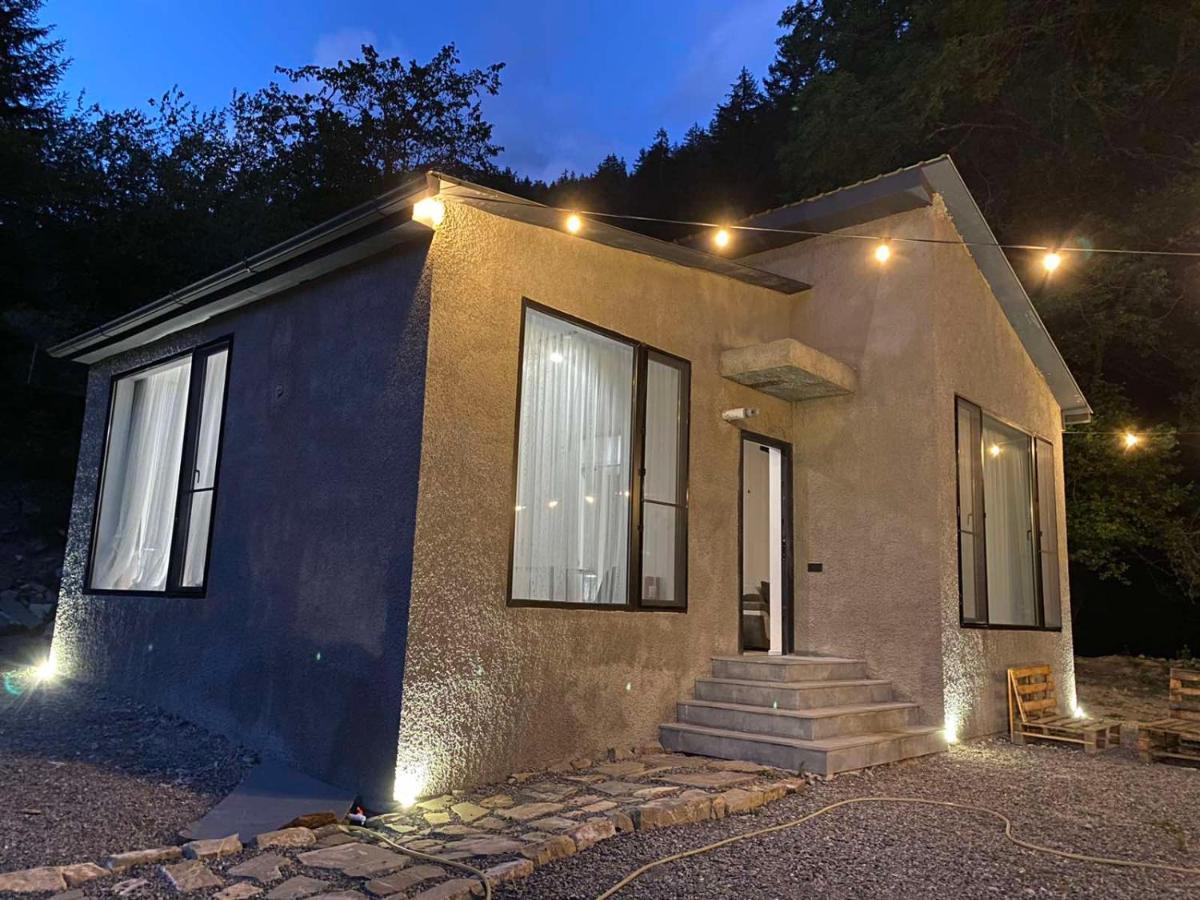 Cozy House In The Forest 博尔若米 外观 照片