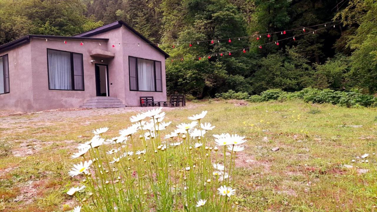 Cozy House In The Forest 博尔若米 外观 照片
