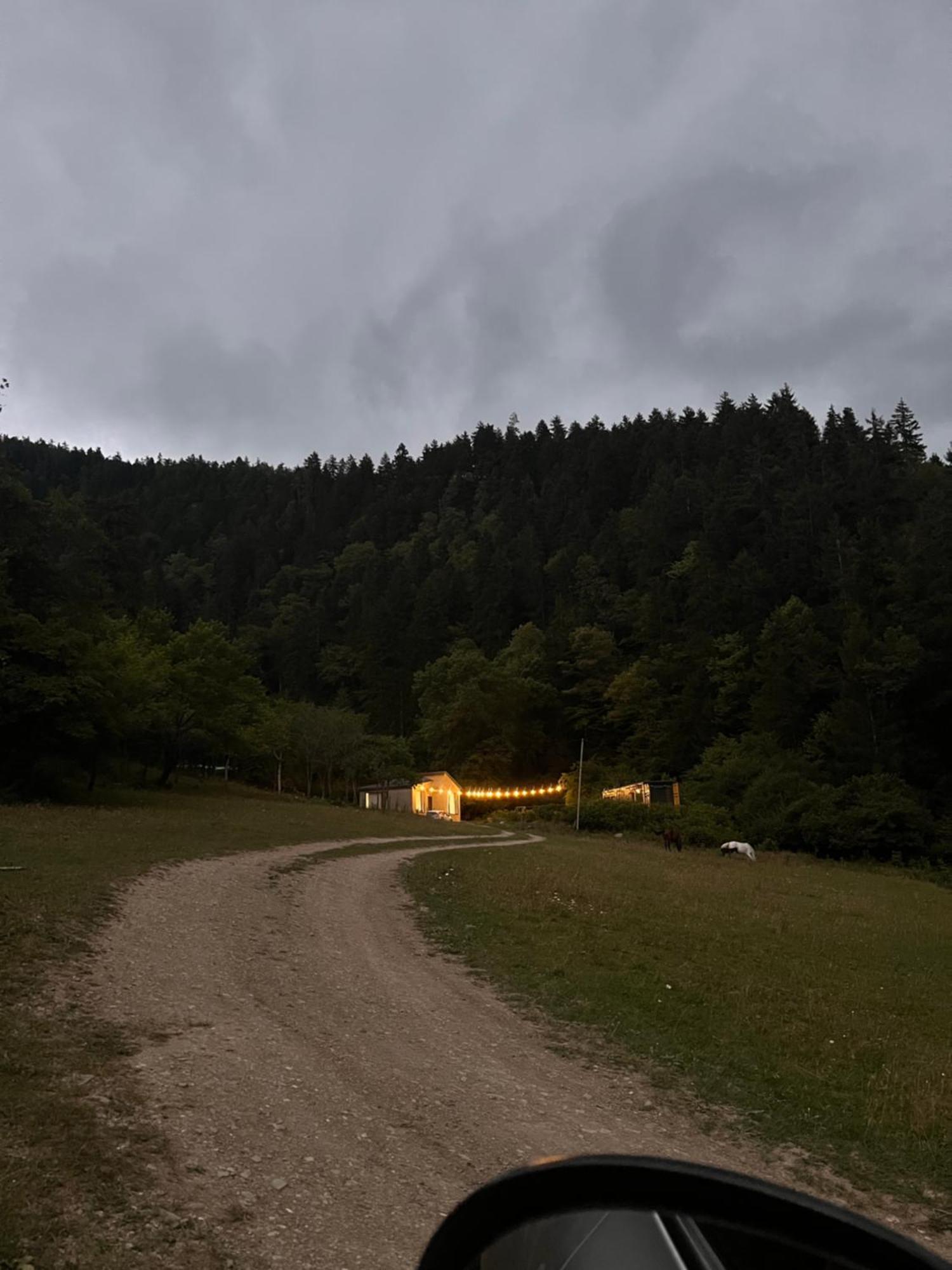 Cozy House In The Forest 博尔若米 外观 照片