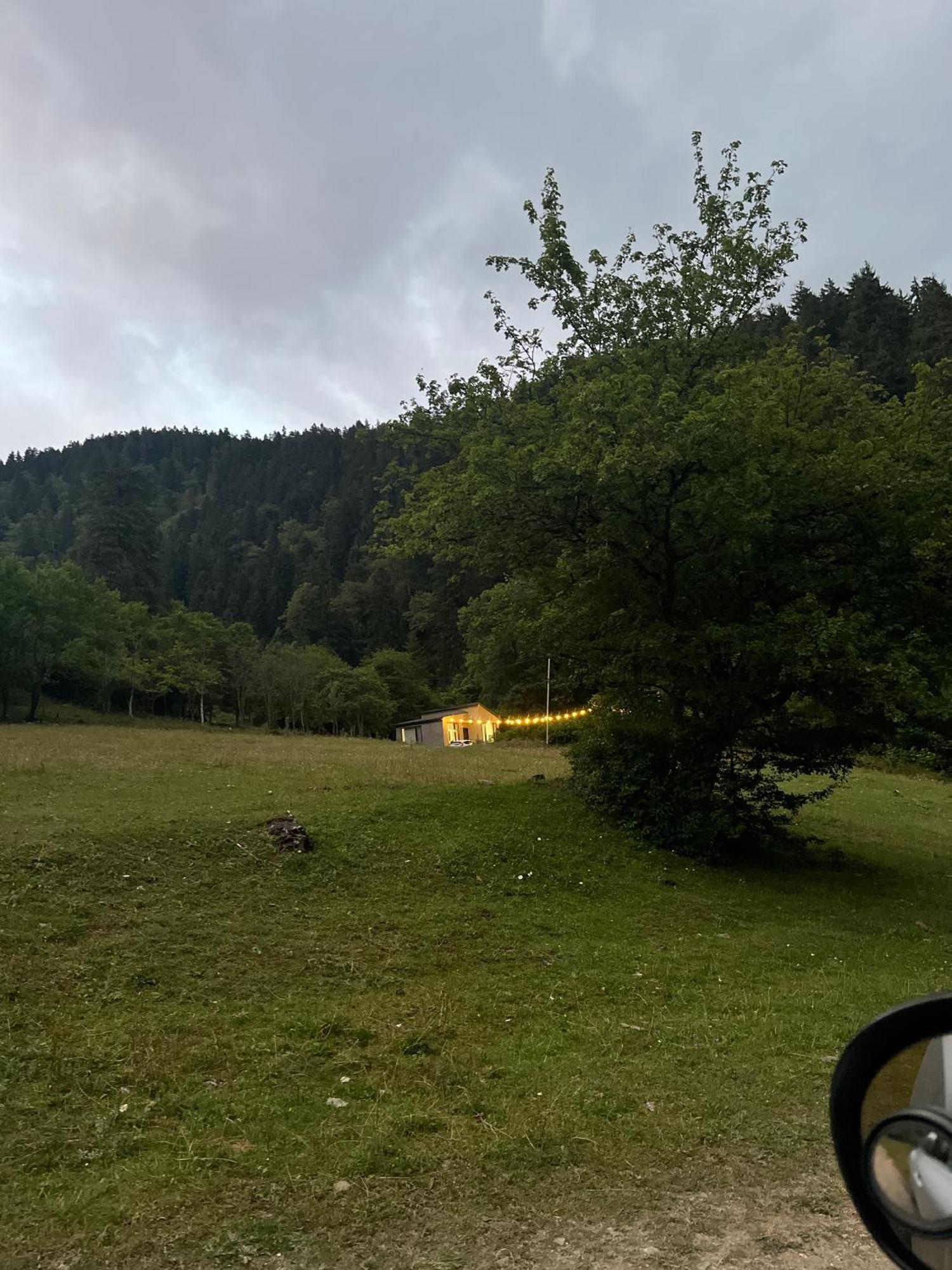 Cozy House In The Forest 博尔若米 外观 照片