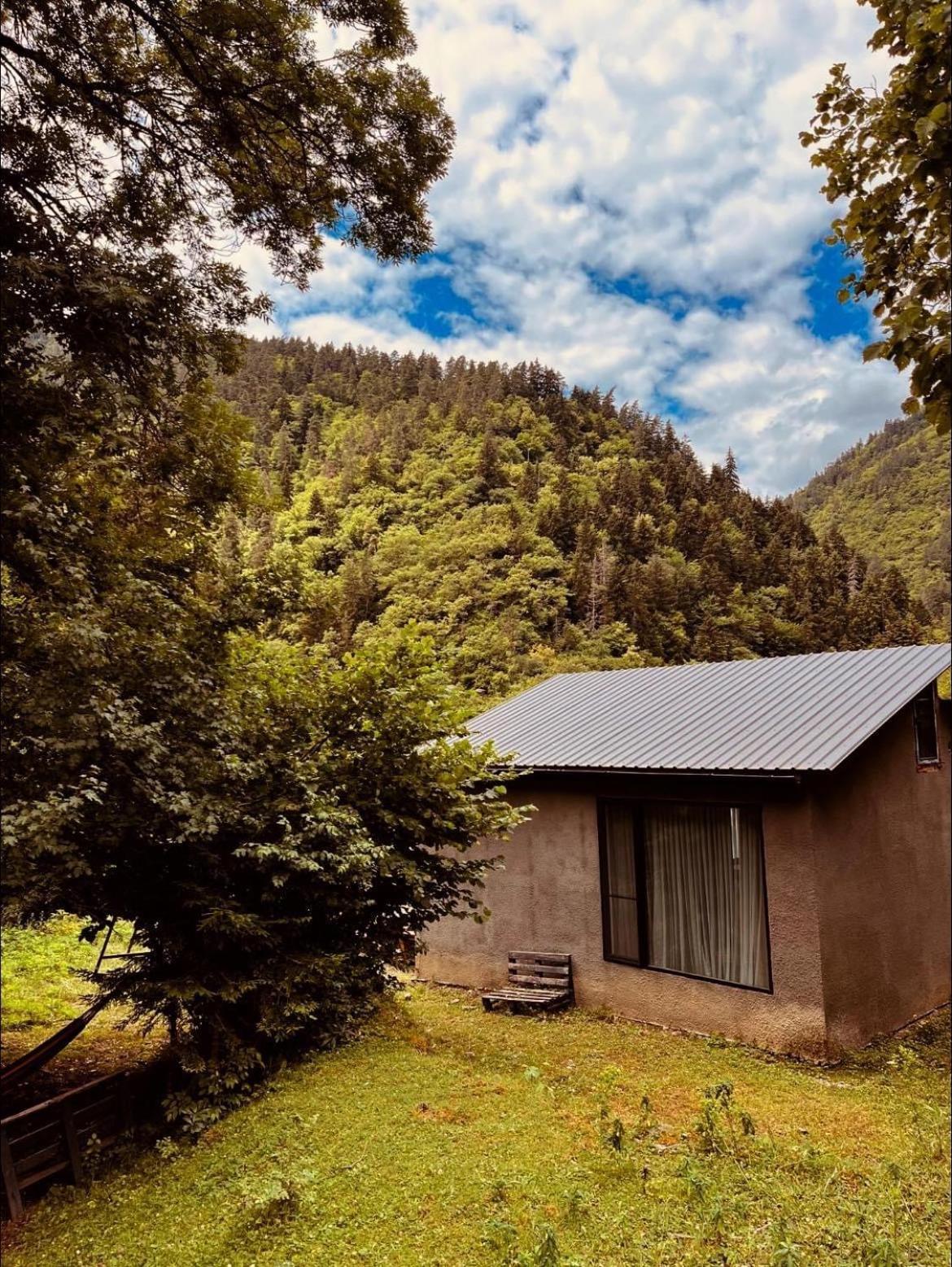 Cozy House In The Forest 博尔若米 外观 照片